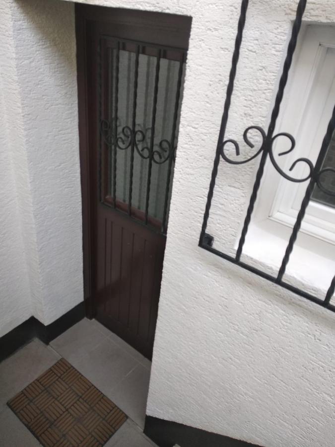 Gemuetliche Ferienwohnung Mit Kamin Und Sauna! Nistertal Экстерьер фото