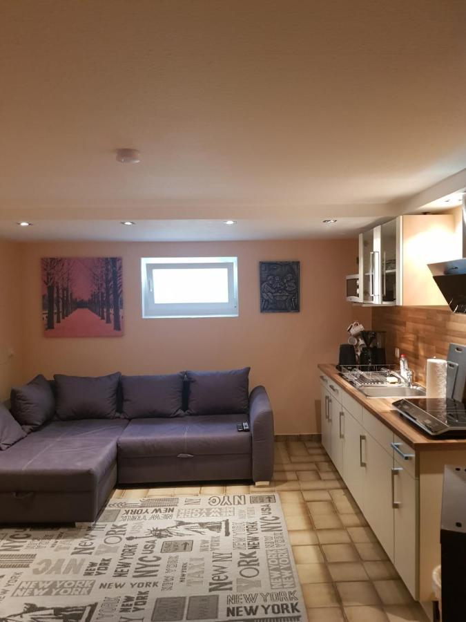 Gemuetliche Ferienwohnung Mit Kamin Und Sauna! Nistertal Экстерьер фото