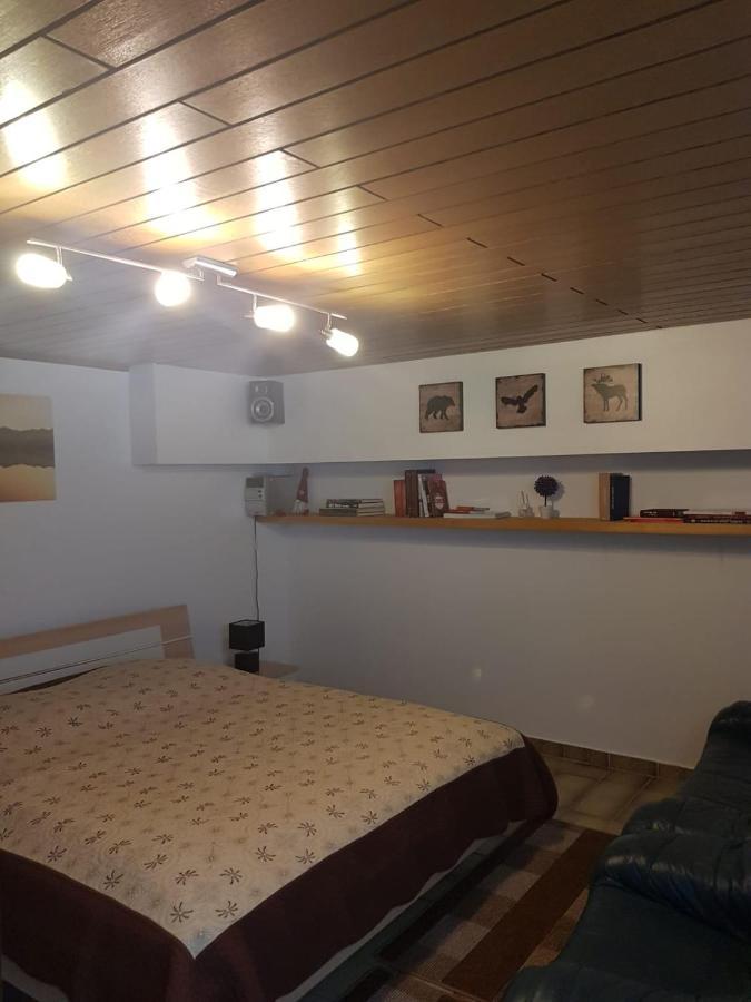 Gemuetliche Ferienwohnung Mit Kamin Und Sauna! Nistertal Экстерьер фото
